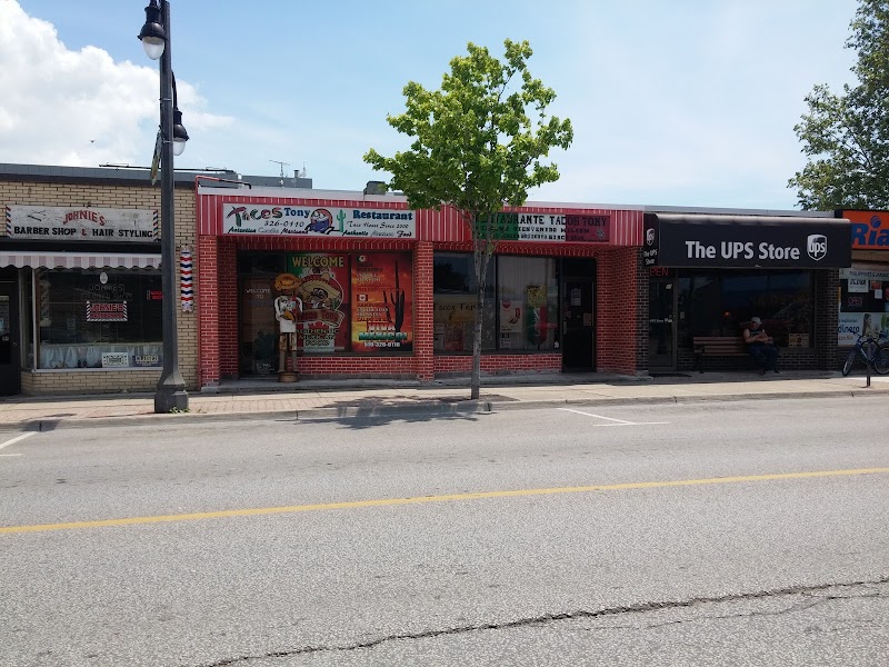 Crazy moes cafe & bar photo 1