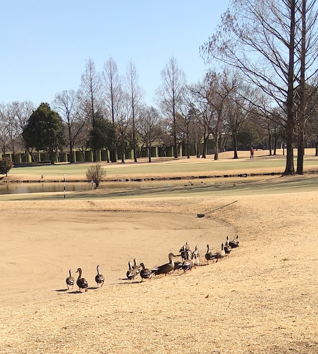 Fuki Golf Club - Photo 2