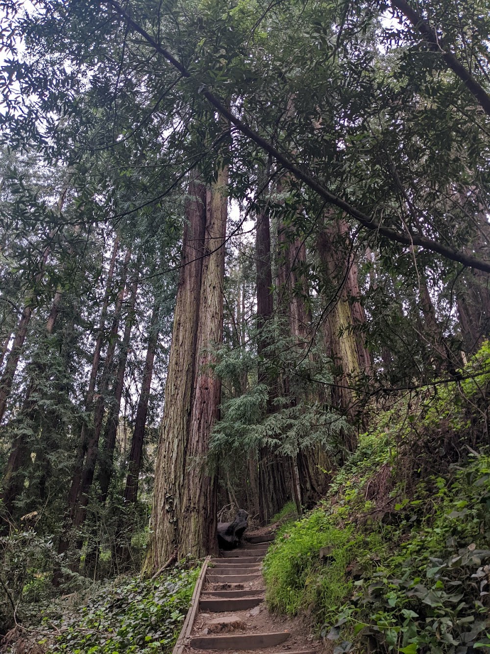 Bridgeview Trail at Monterey Blvd photo