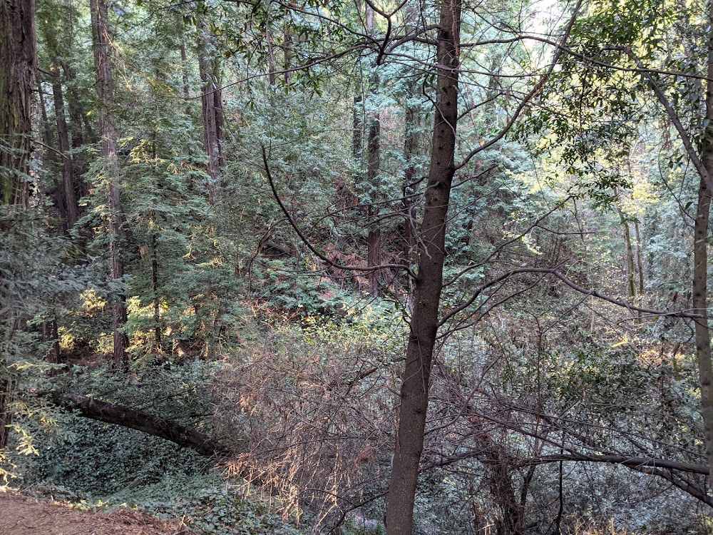 customer photo 3 of Bridgeview Trail at Monterey Blvd