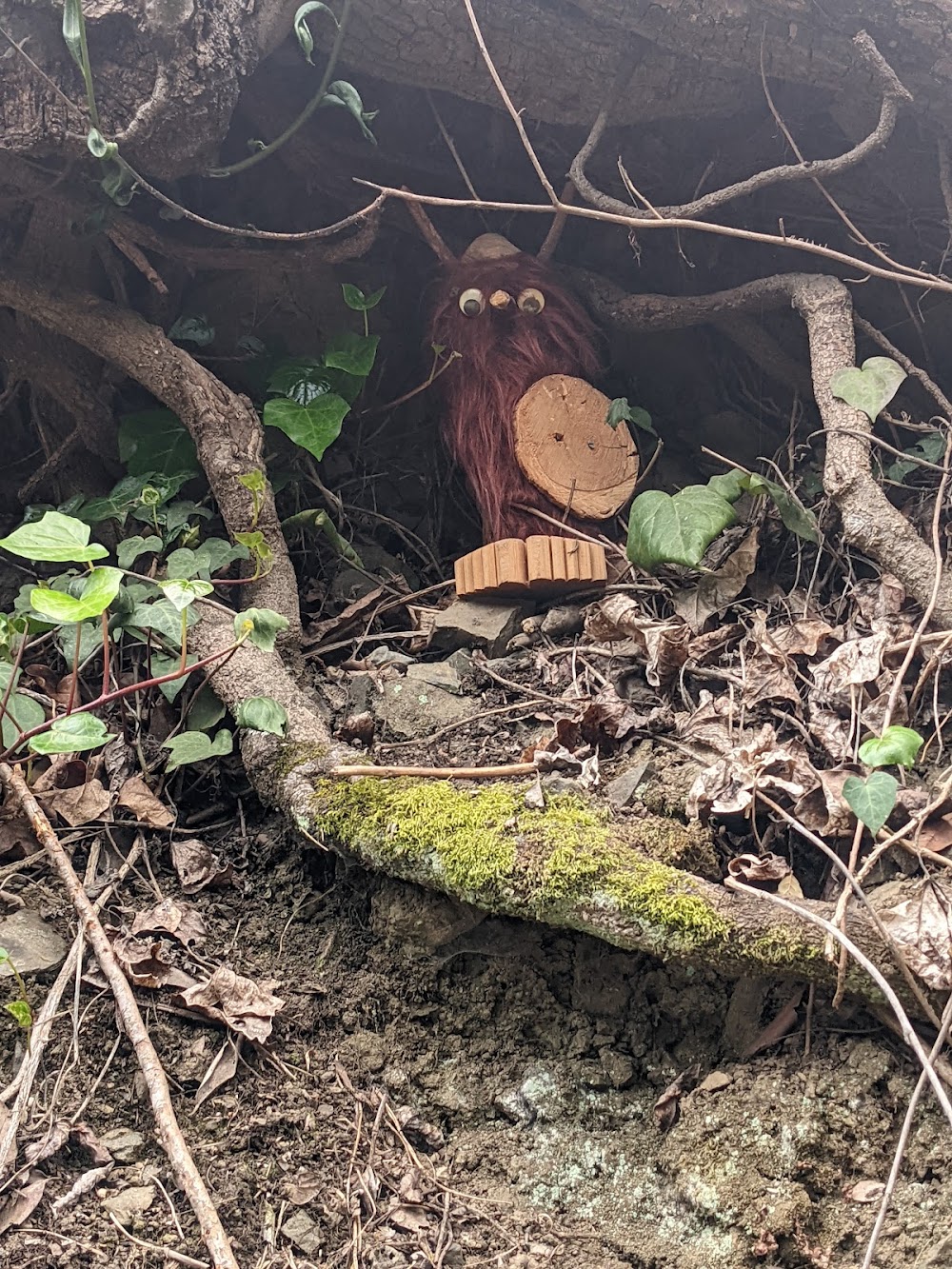 Bridgeview Trail at Monterey Blvd photo