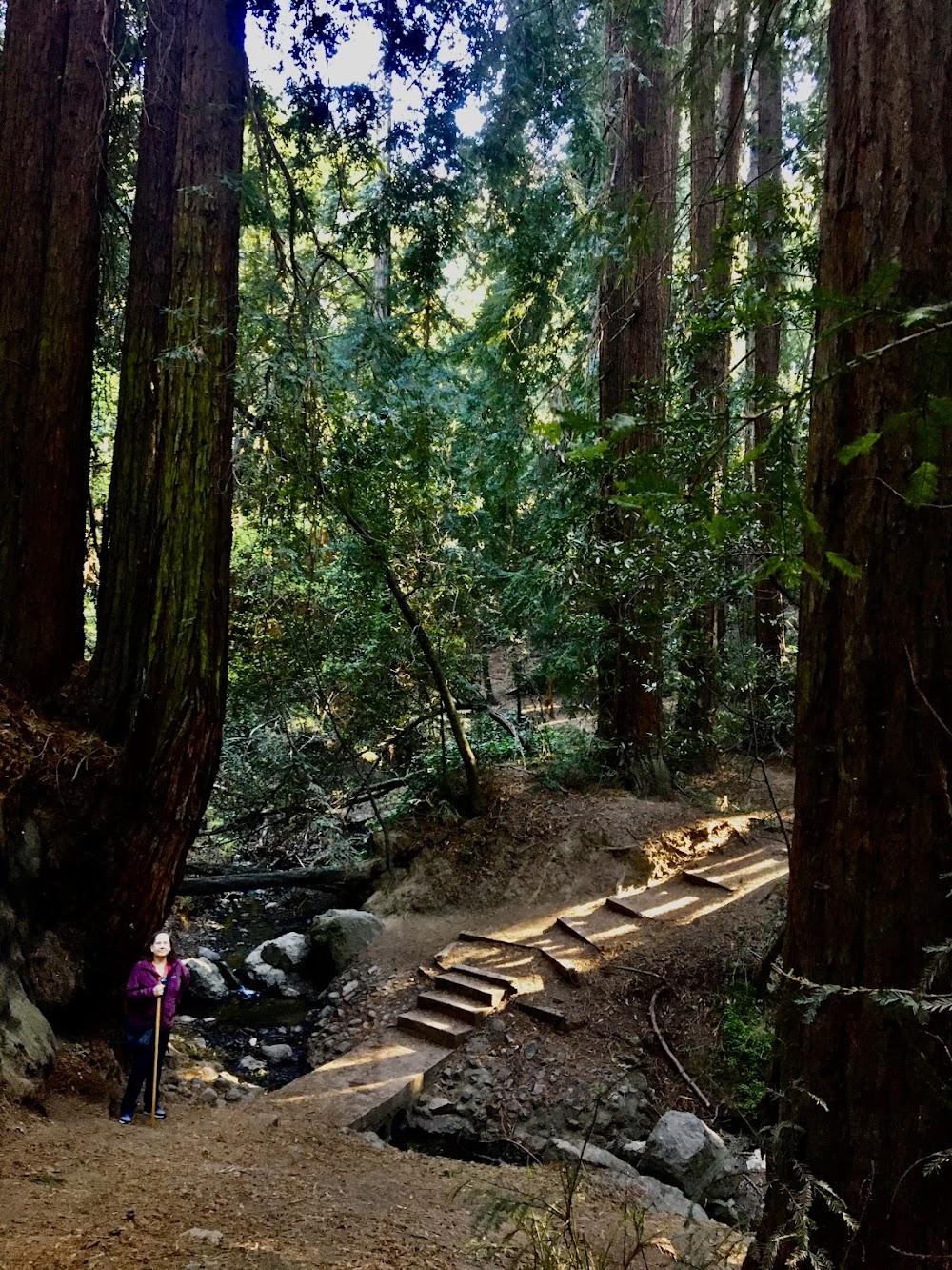 Bridgeview Trail at Monterey Blvd photo
