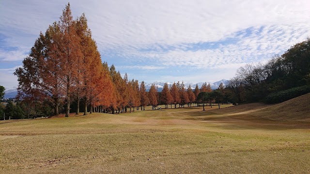 Toyama Country Club - Photo 2