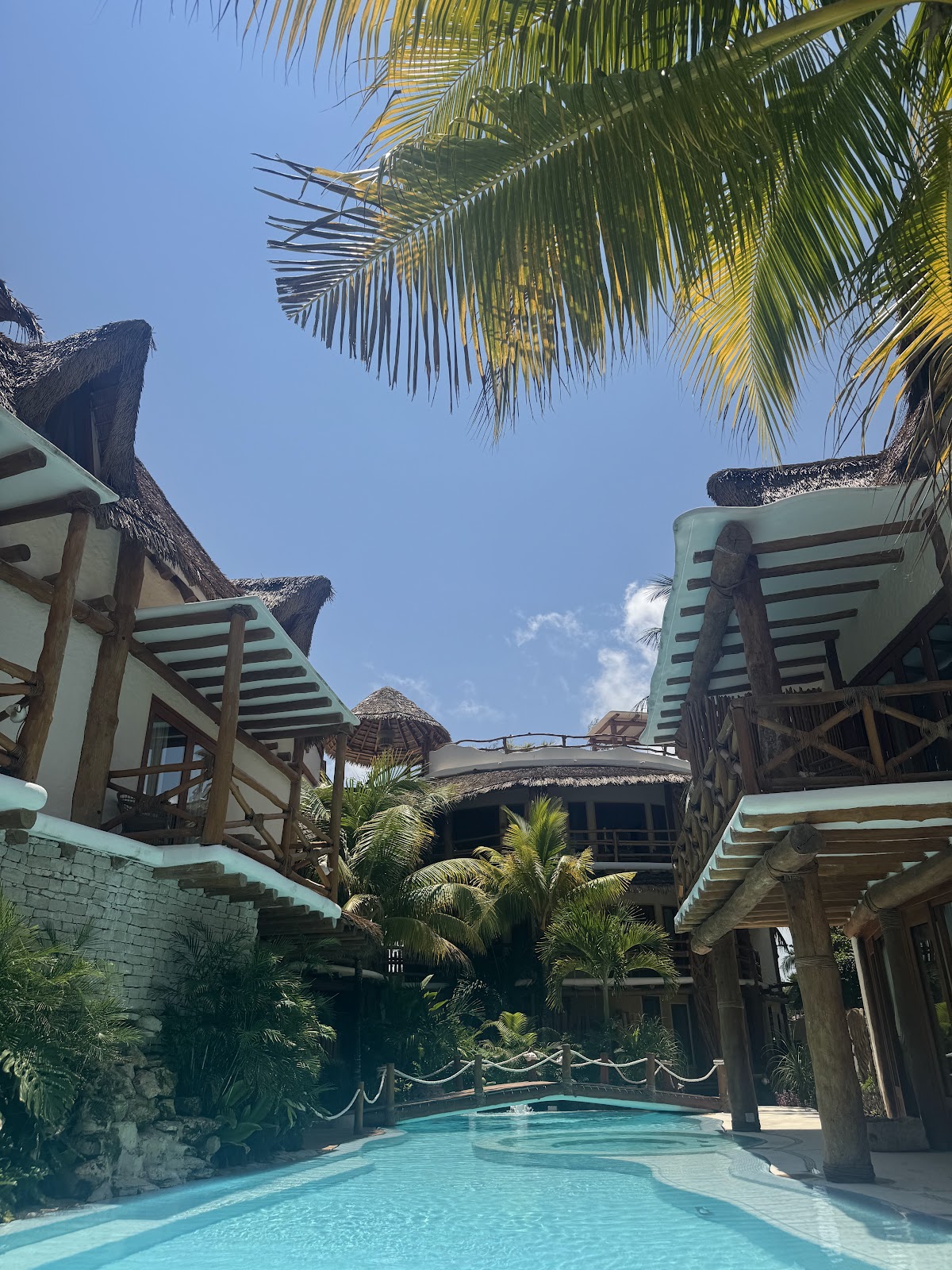 Casa Las Tortugas — 4