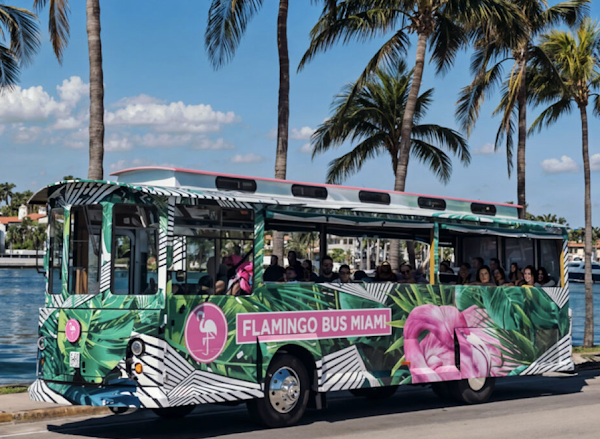 Flamingo Bus Miami Tours portfolio
