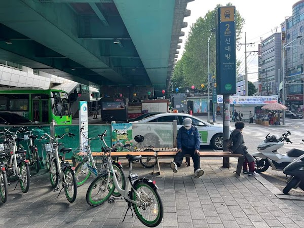 Cherry Blossom 🌸 1