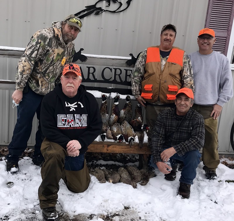 Bear Creek Hunting Preserve - Photo 1