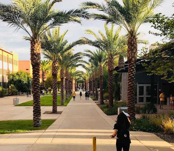 Arizona State University 1