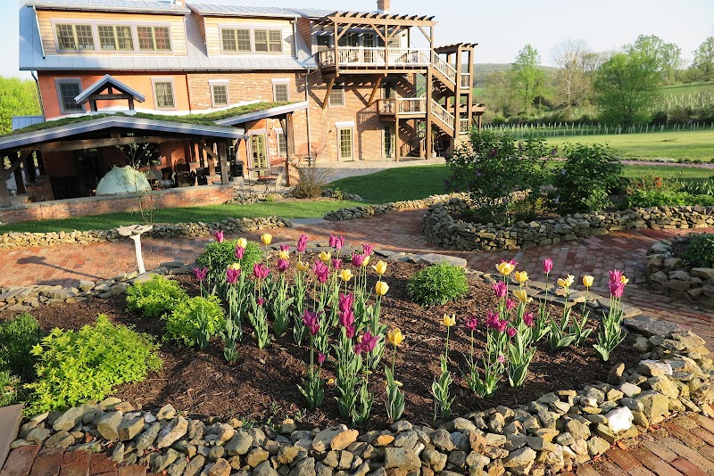 Zigbone Farm Retreat - Photo 1