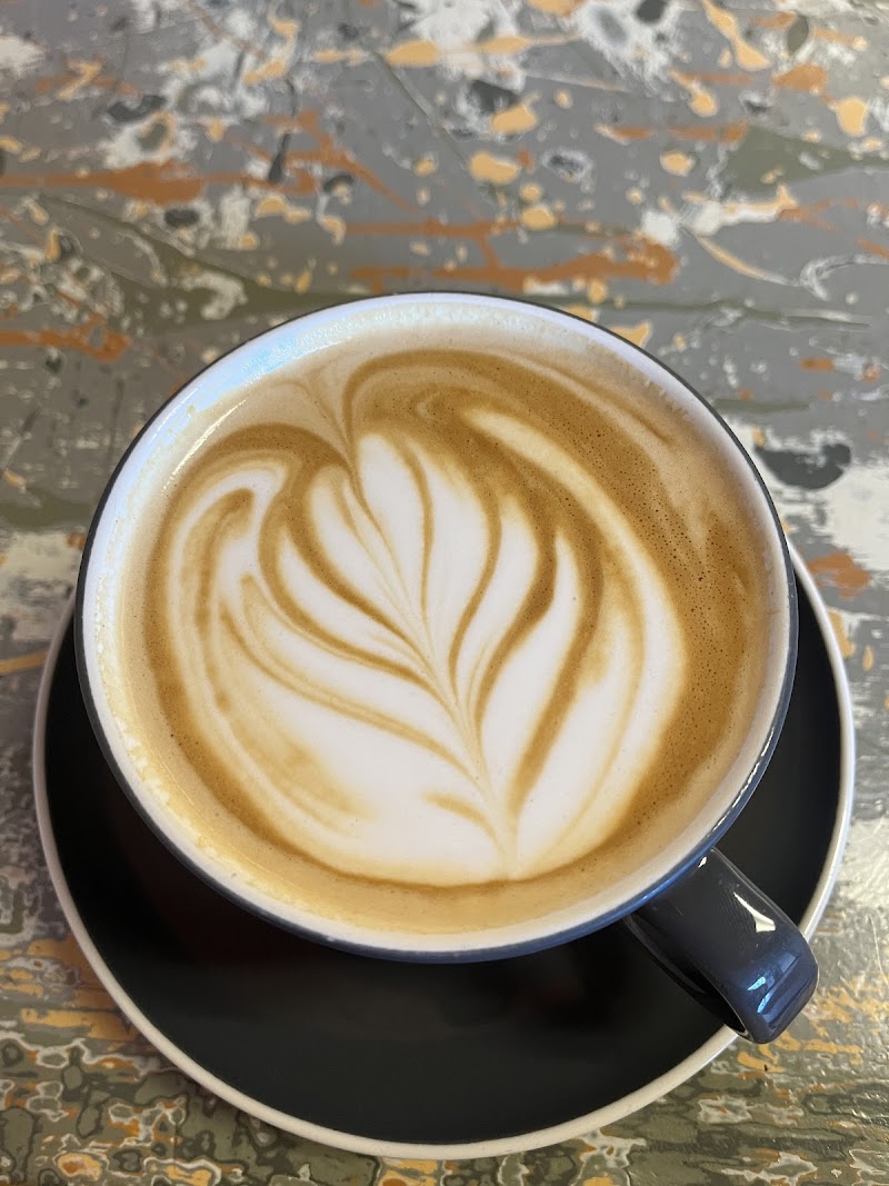 Dos Gatos Coffee Bar photo 3