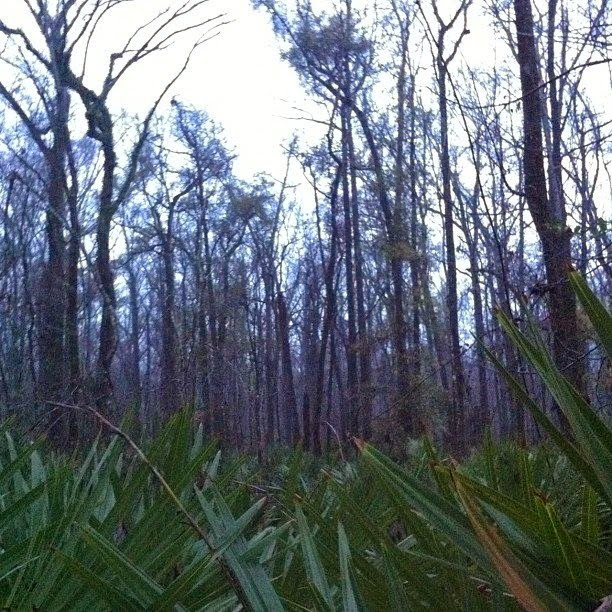 Thistlethwaite State Wildlife Management Area