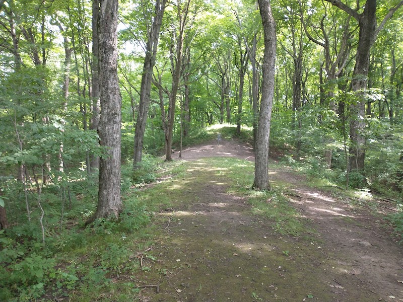 Heritage Trails Disc Golf Course photo 4