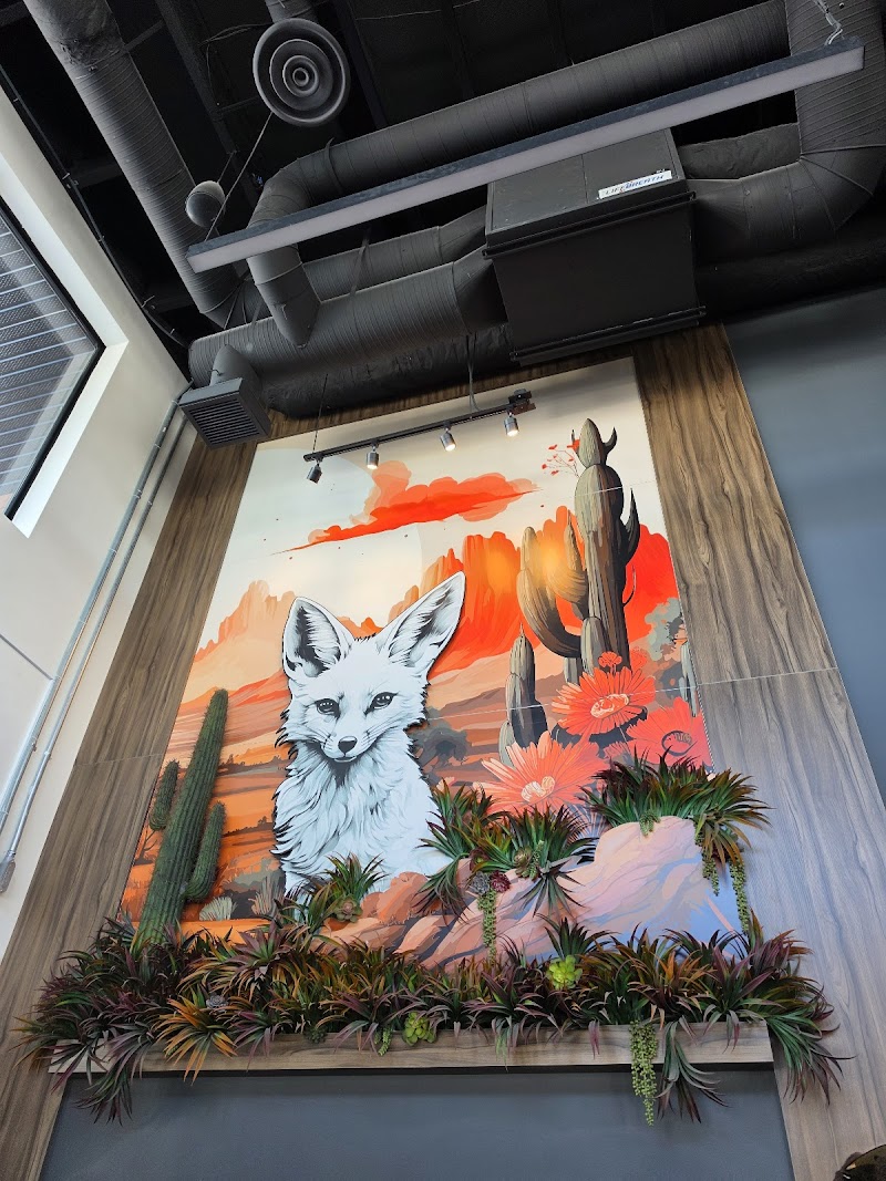 Fenyk Coffee & Social photo 3