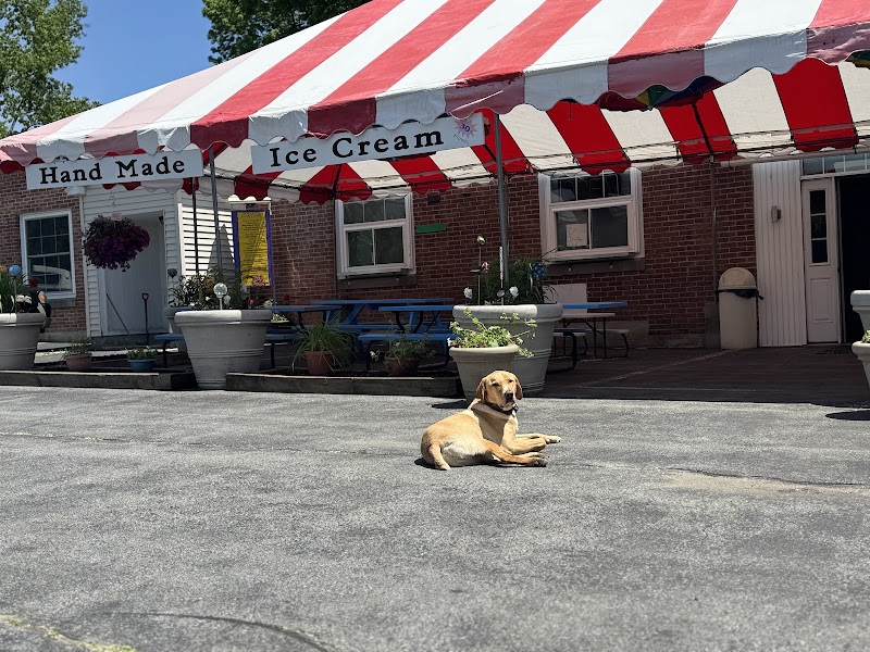 Crux & Crumb - featuring The Ice Cream Machine photo 1