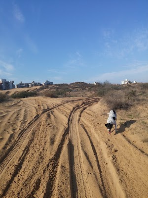 המרכז הוטרינרי לחיות בית קרית רבין