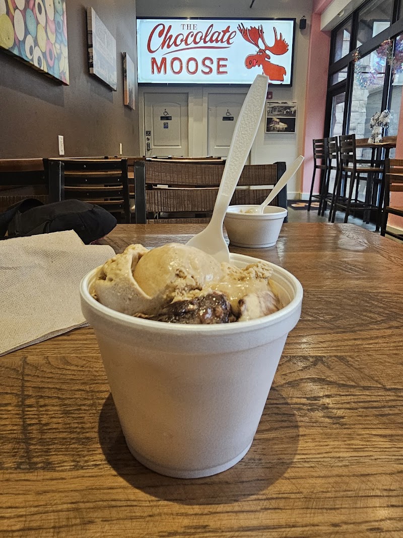 The Chocolate Moose photo 3