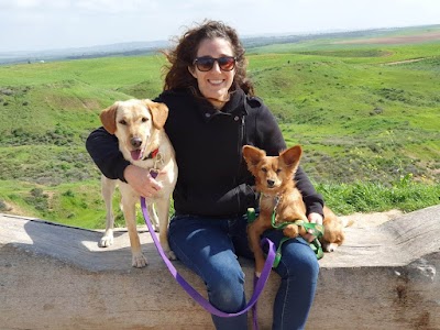 דפנה מונשרי- טיפול בעזרת כלבים, אילוף ופנסיון ביתי