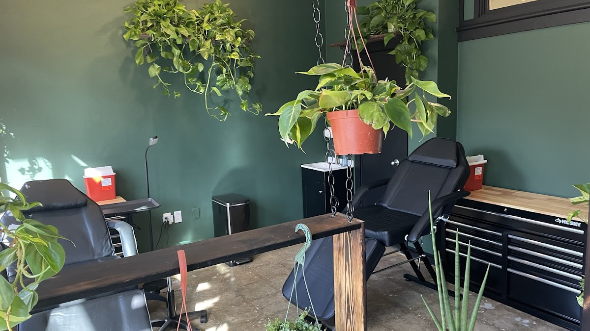 Wild Vine Ink tattoo parlor in Boulder, CO