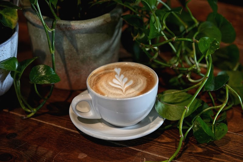 Walnut Hill Coffee Company photo 4