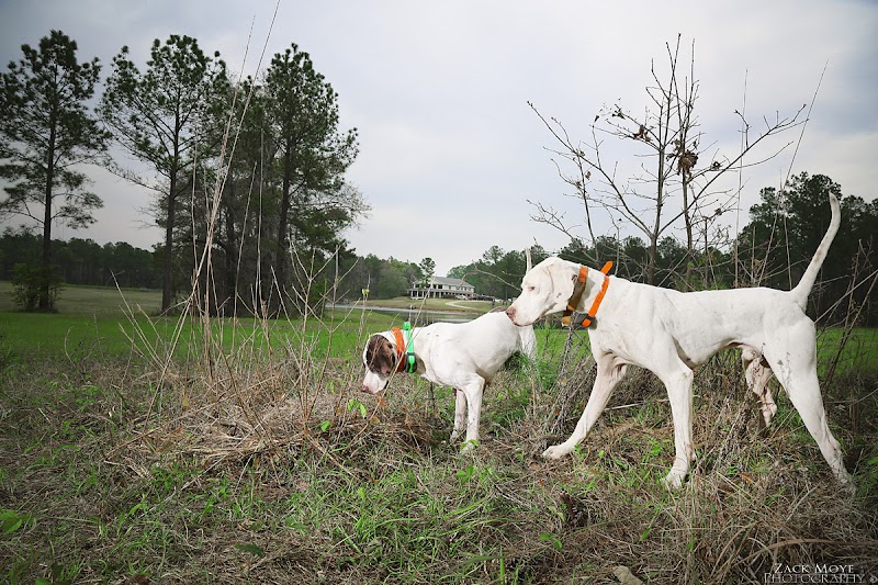 Federwild Plantation - Photo 1