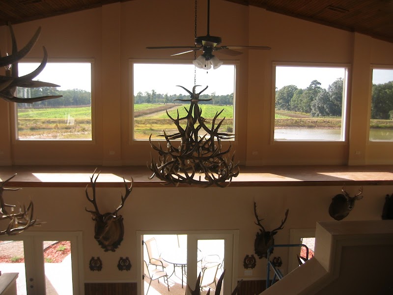Federwild Plantation - Photo 6
