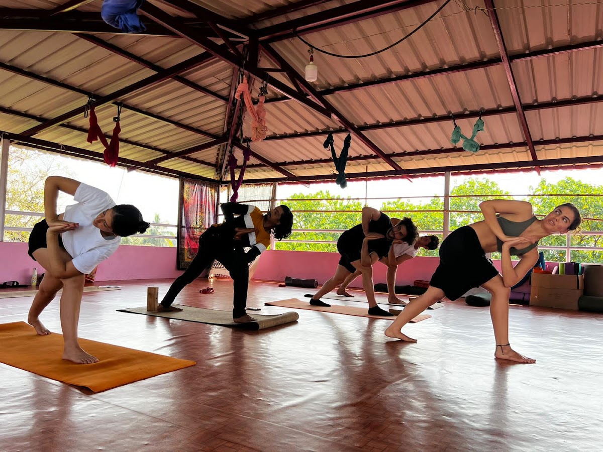 AERIAL YOGA TEACHER TRAINING COURSE IN DHARAMSHALA — 3