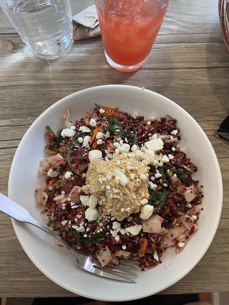 The Lotus Cafe photo 4