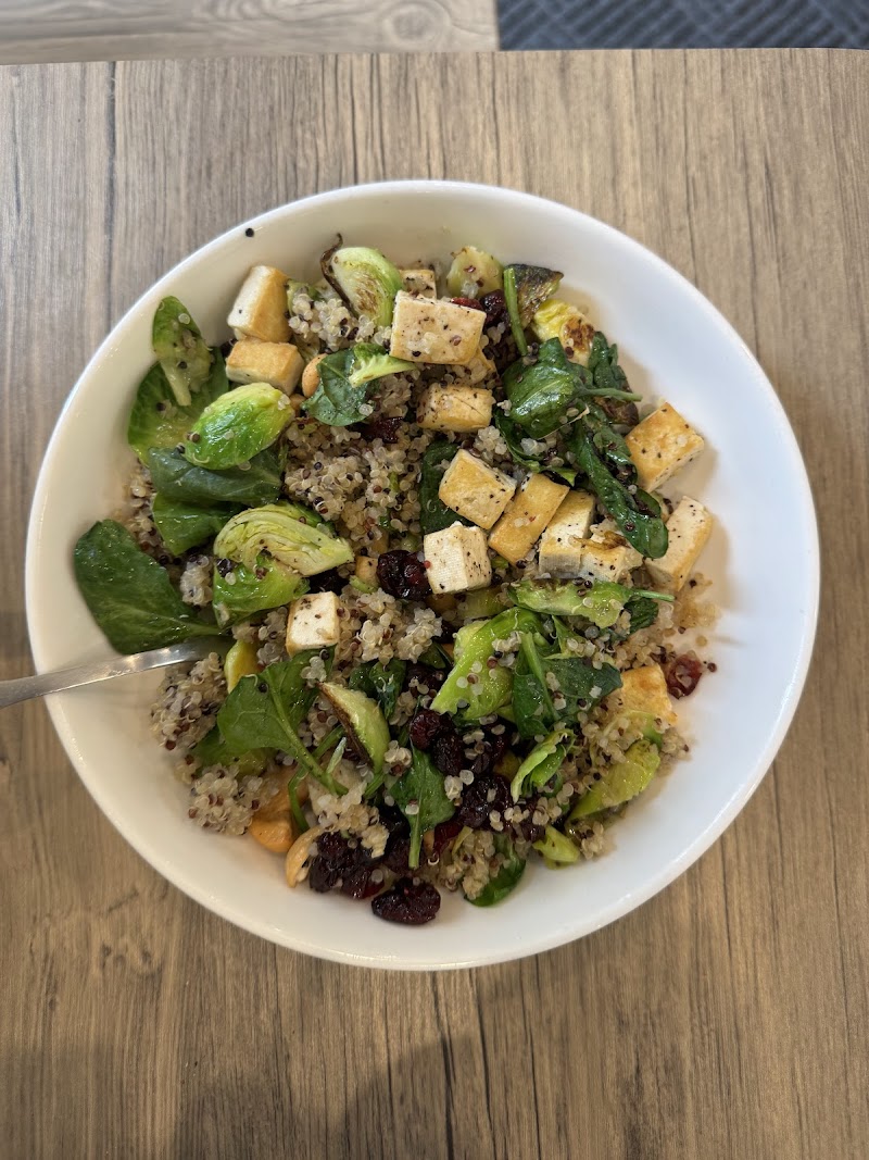 The Lotus Cafe photo 4