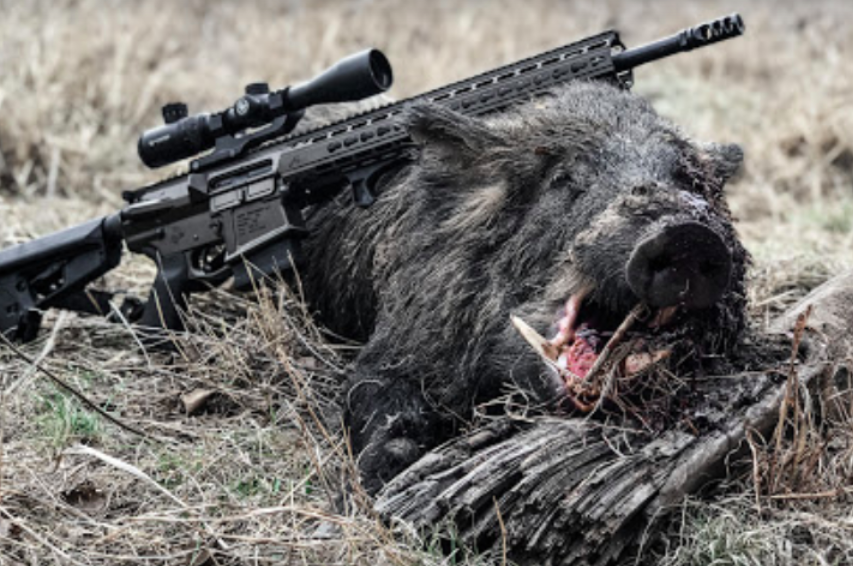 Oklahoma Hog Hunting - Side X Side Ranch