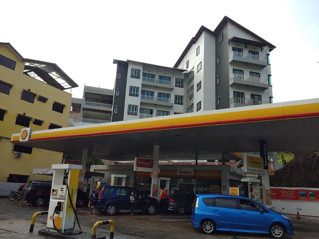 SJK(T) RINGLET photo 3