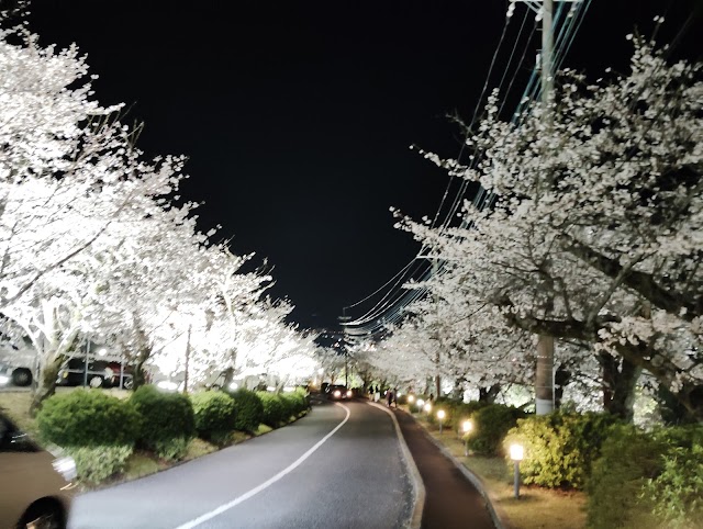 Hirakata Country Club - Photo 1