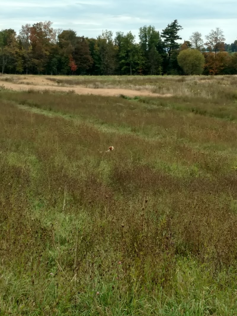 Vernon National Shooting Preserve - Photo 2