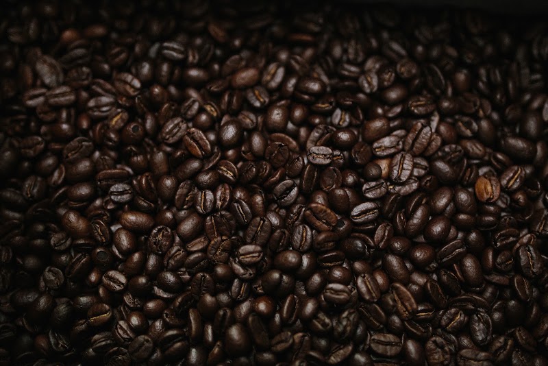 Leonardo's Coffeehouse & Renaissance Coffee Roasting Co. photo 4