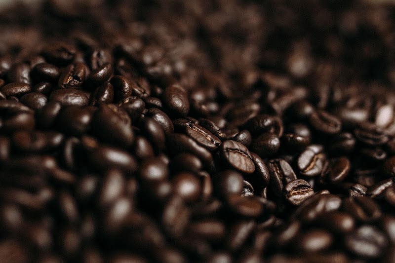 Leonardo's Coffeehouse & Renaissance Coffee Roasting Co. photo 2