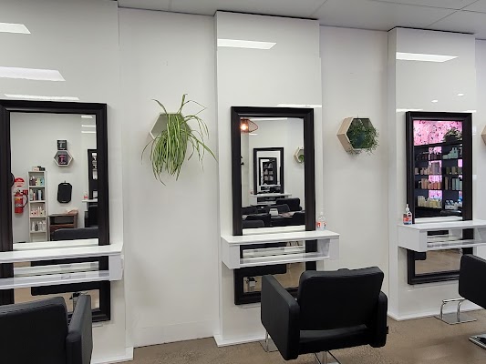 Colour Kultcha photo 2