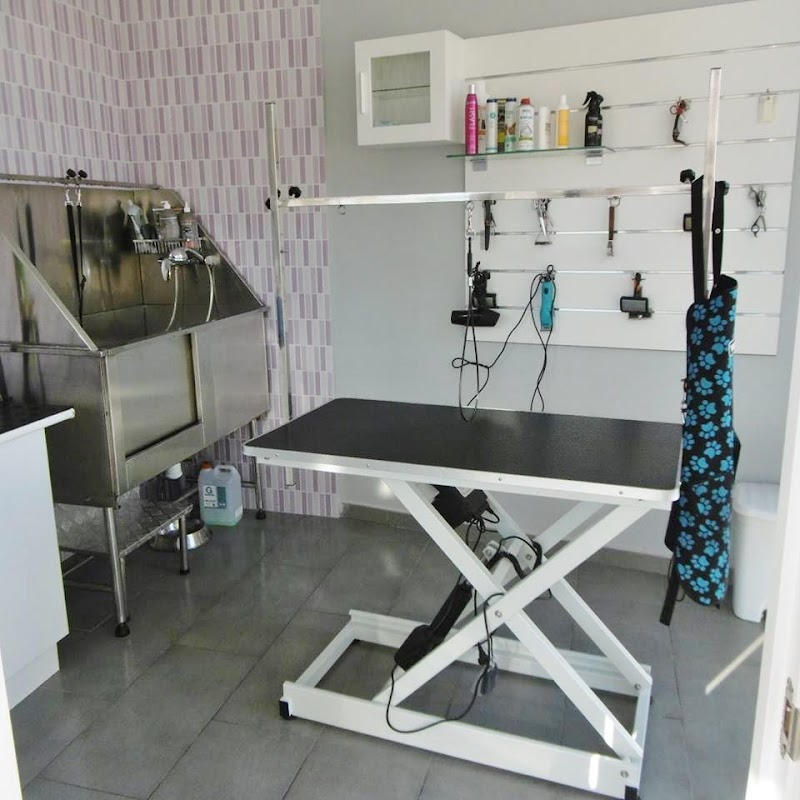 Centro Veterinario A Piringalla photo 2