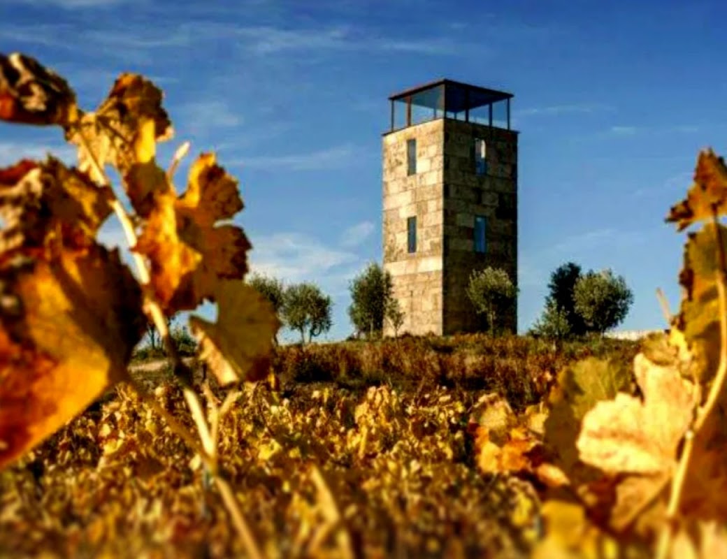 Quinta da Alameda | Puros Vinhos do Dão