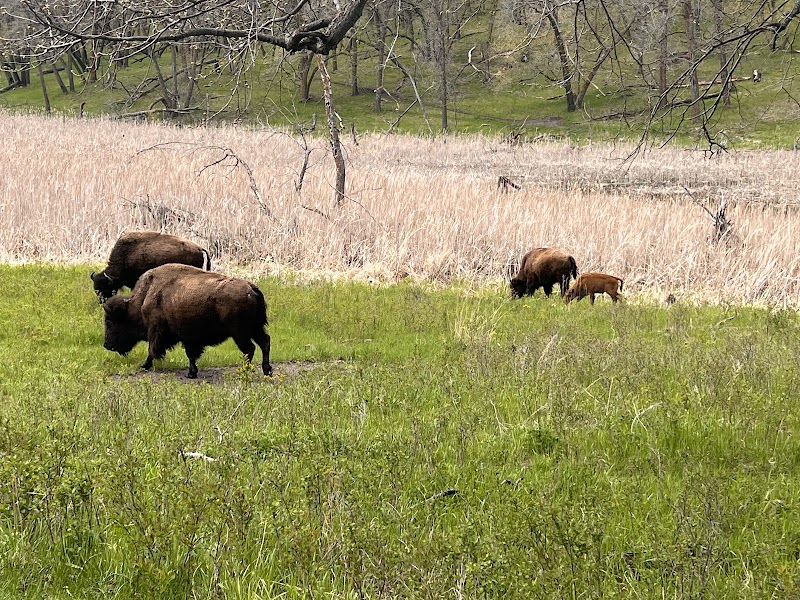 White Horse Hill National Game Preserve - Photo 6