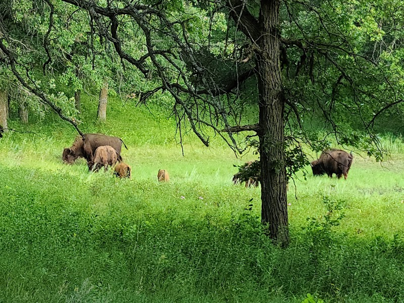 White Horse Hill National Game Preserve - Photo 2