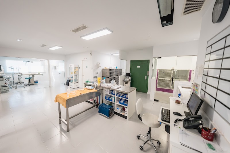 Hospital Veterinario Ciutat d´Inca