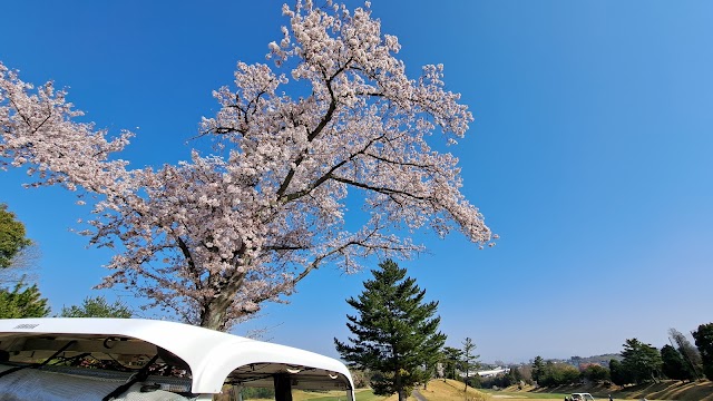 Hirakata International Golf Club - Photo 5