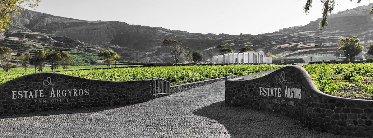 Estate Argyros