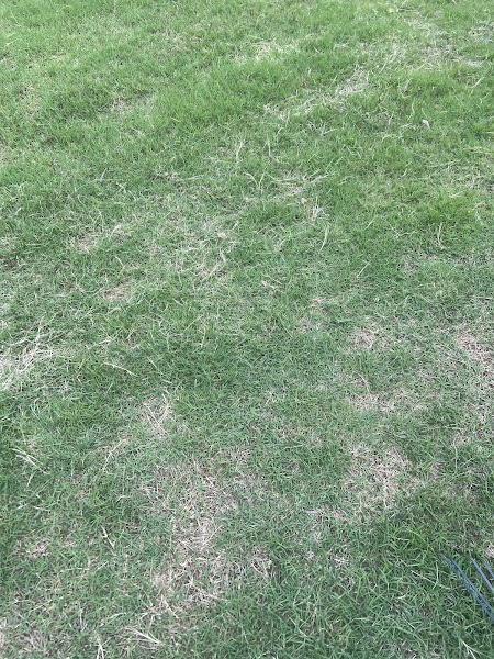 Maximum Lawn Care