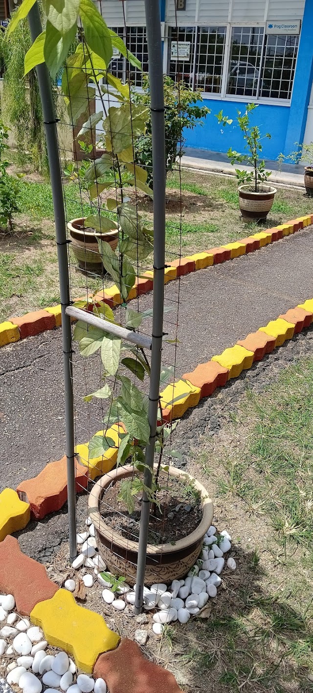 SJK(T) PULAU SEBANG photo 2