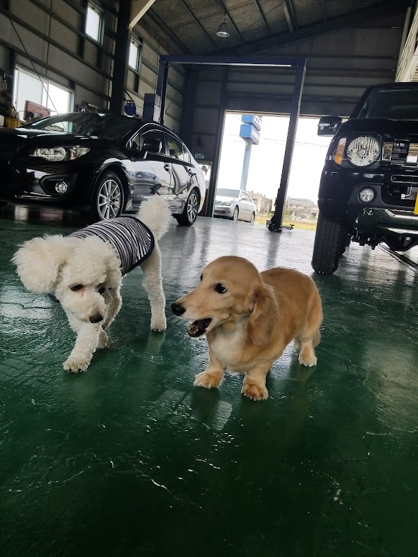 山田自動車販売（株） - 画像2