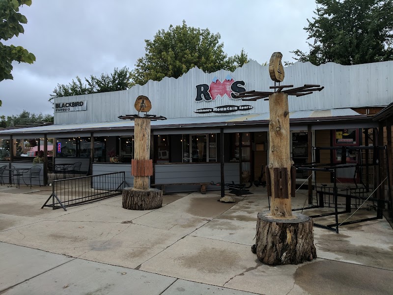 Blackbird Espresso photo 1