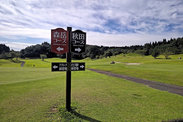 Akita Moritake Onsen 36 Golf Course - Photo 3