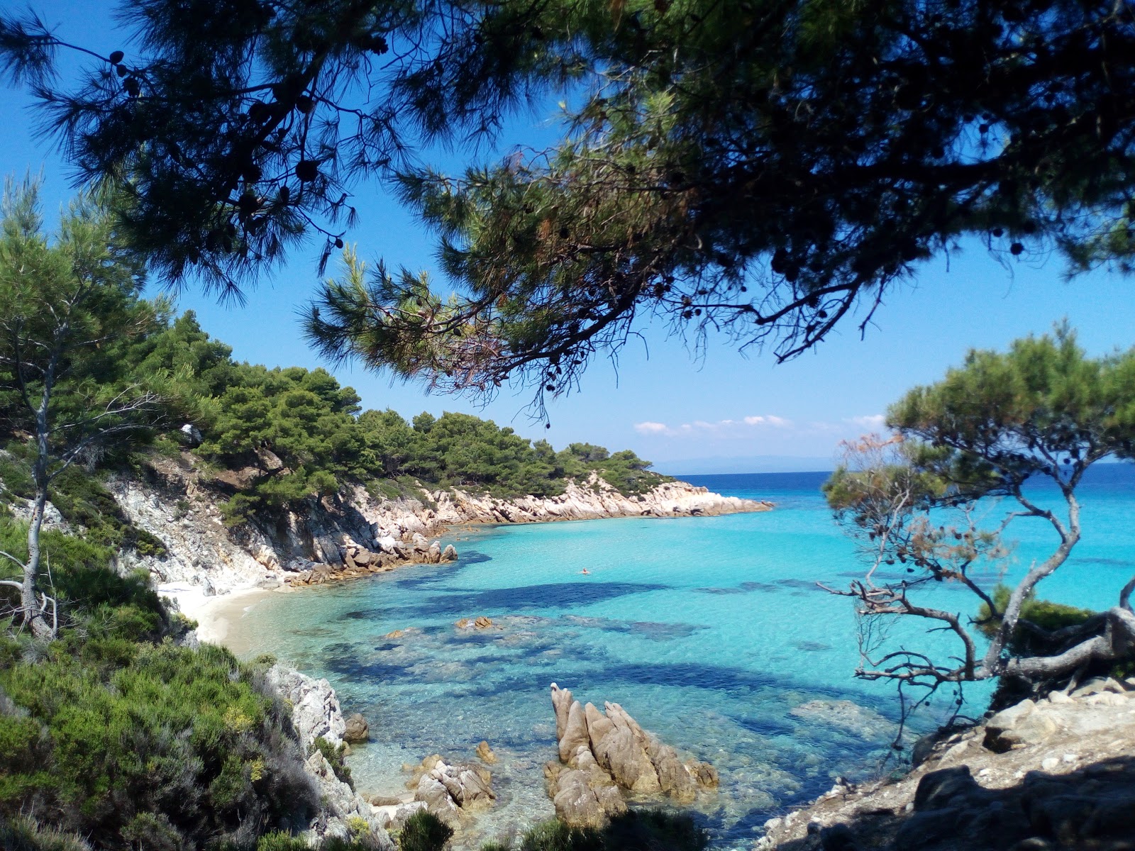 Best Dog-Friendly Hotels in Halkidiki and Thessaloniki, Greece
