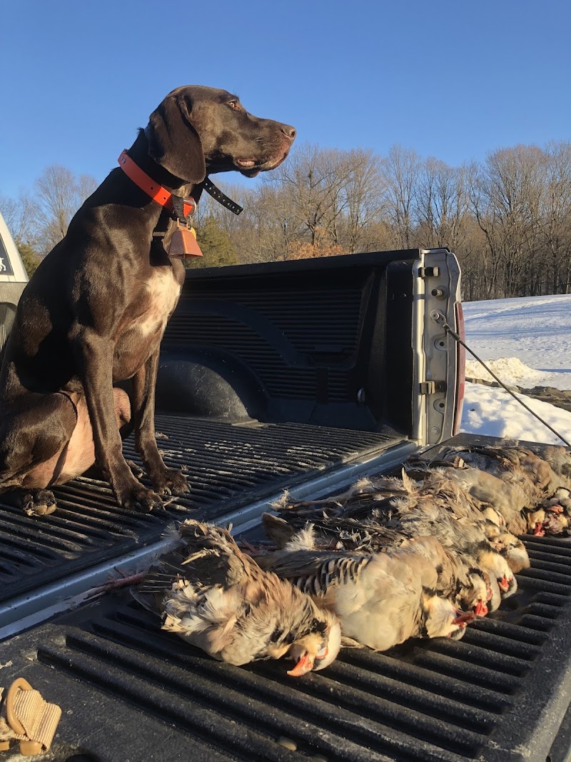 TMT Hunting Preserve Inc - Photo 1