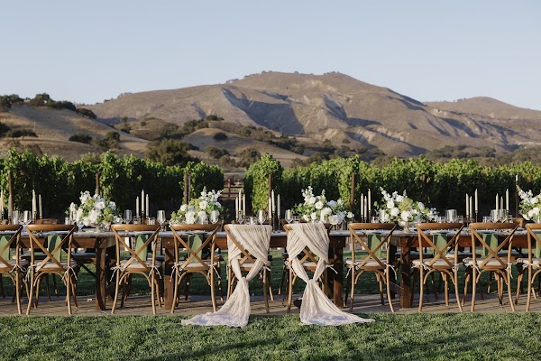 Lily & Poppy Event and Party Rentals portfolio